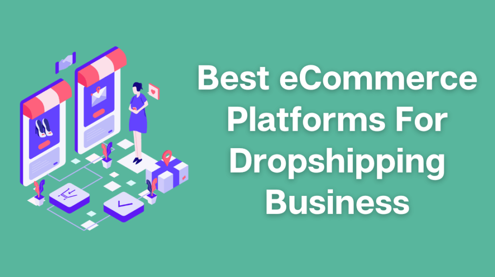 Best Ecommerce Platforms For Dropshipping Business