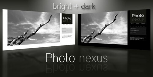 Photo-Nexus-Wordpress-gallery-2-in-1-500x254