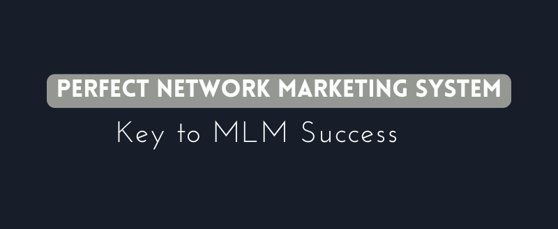 Network Marketing System